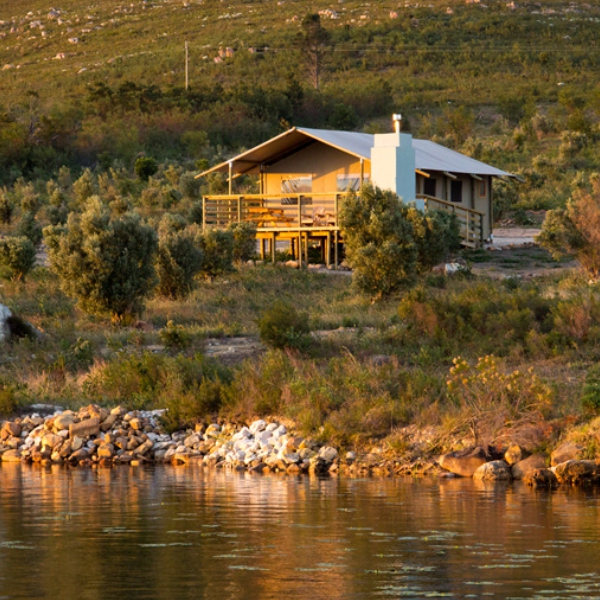 Stanford Hills Gallery